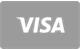 Visa creditcard betaaloptie bij CryptoLeo Casino